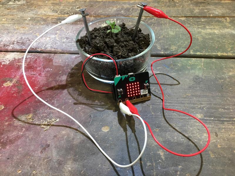 ../_images/microbit-krokodillenklemmen.jpg